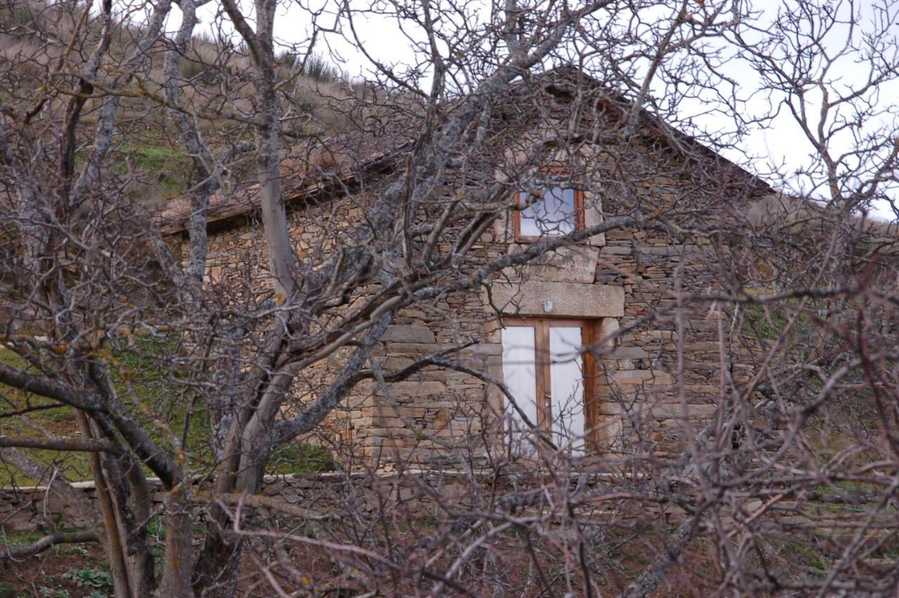 Вилла Quinta Da Alagoa Santa Maria de Emeres Экстерьер фото