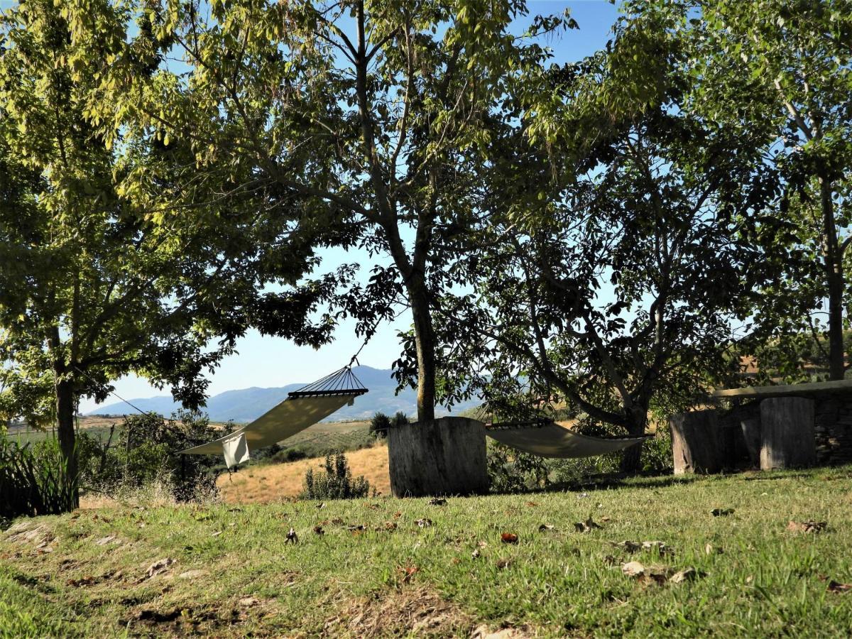 Вилла Quinta Da Alagoa Santa Maria de Emeres Экстерьер фото