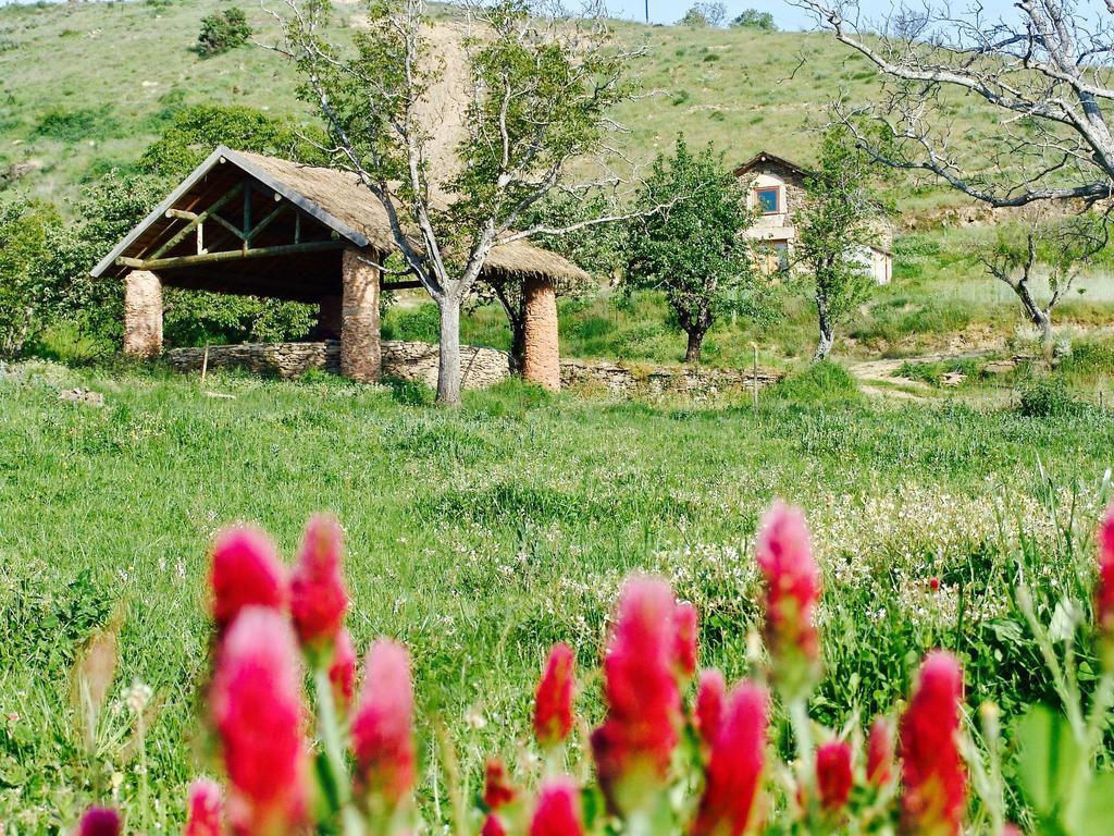 Вилла Quinta Da Alagoa Santa Maria de Emeres Экстерьер фото
