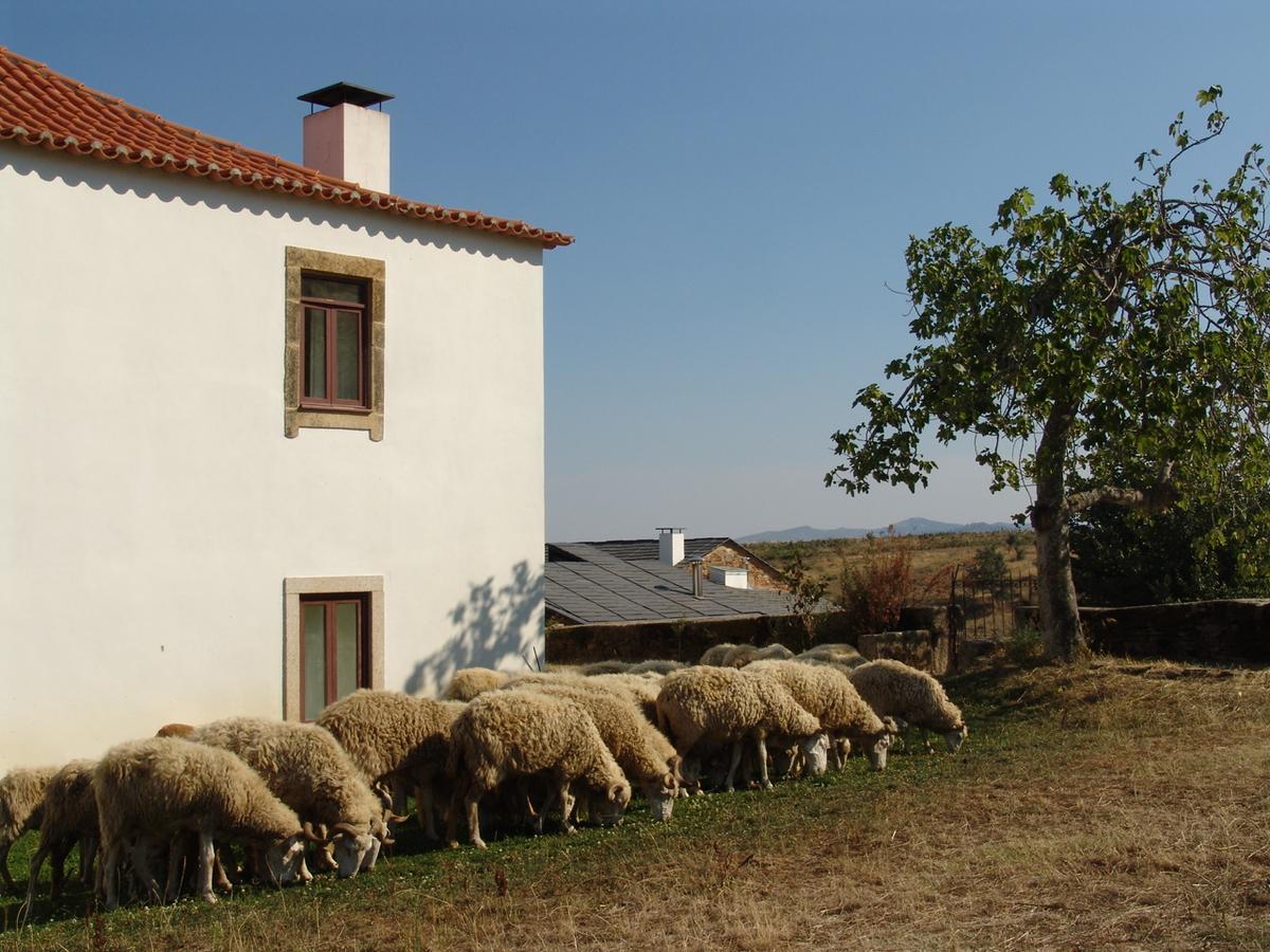 Вилла Quinta Da Alagoa Santa Maria de Emeres Экстерьер фото
