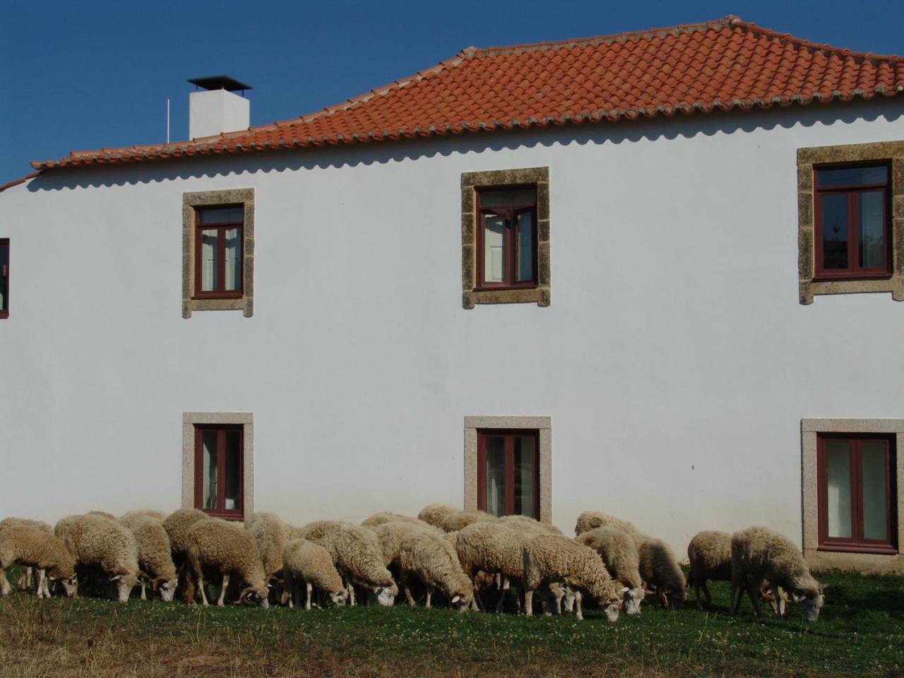 Вилла Quinta Da Alagoa Santa Maria de Emeres Экстерьер фото